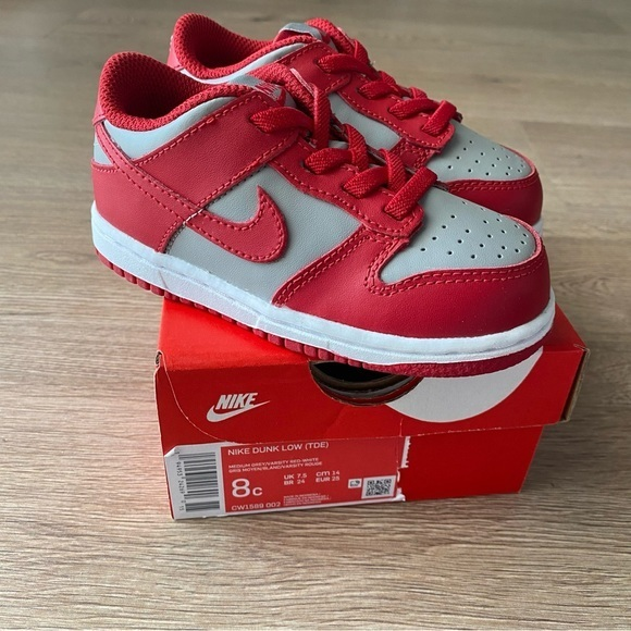 Nike Other - NIB‎ Nike Dunk Low UNLV